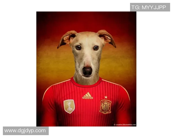 韩国狗狗足球明星的名字与他们的精彩故事分享