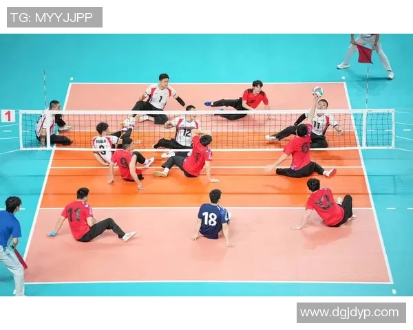 2026排球团队协作排行榜：上海排球队位居第6名