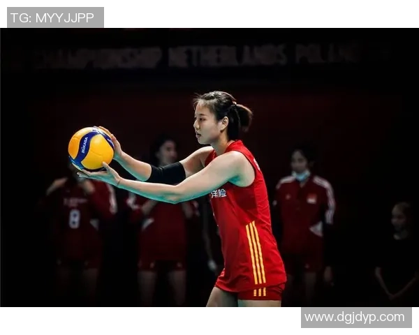 2026排球耐力排行榜：南京排球队位居第7名