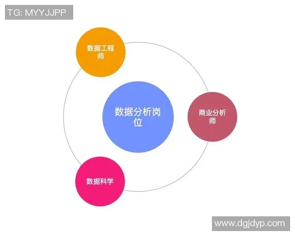 数据分析：V5的个人能力表现_1