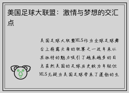 美国足球大联盟：激情与梦想的交汇点